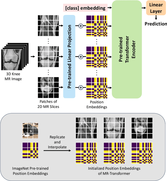 Figure 1 for MR-Transformer: Vision Transformer for Total Knee Replacement Prediction Using Magnetic Resonance Imaging