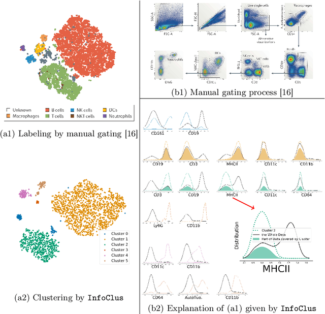 Figure 4 for InfoClus: Informative Clustering of High-dimensional Data Embeddings
