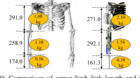 Figure 2 for Human Mimetic Forearm Design with Radioulnar Joint using Miniature Bone-Muscle Modules and Its Applications