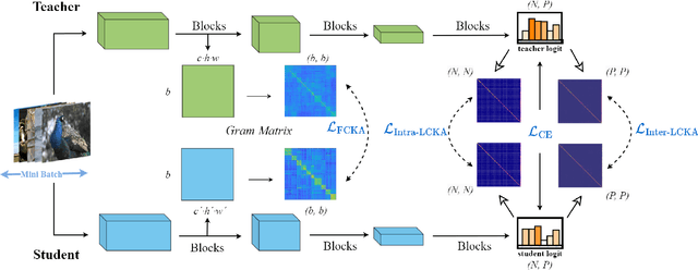 Figure 1 for Rethinking Centered Kernel Alignment in Knowledge Distillation