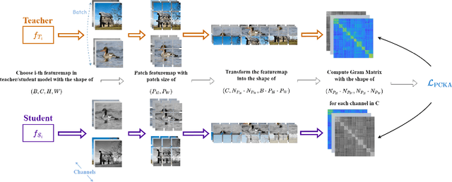 Figure 3 for Rethinking Centered Kernel Alignment in Knowledge Distillation