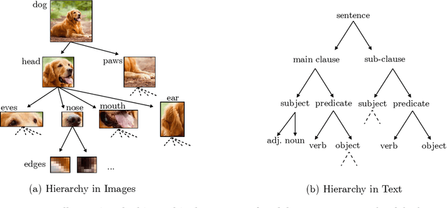 Figure 4 for Breaking the Curse of Dimensionality in Deep Neural Networks by Learning Invariant Representations