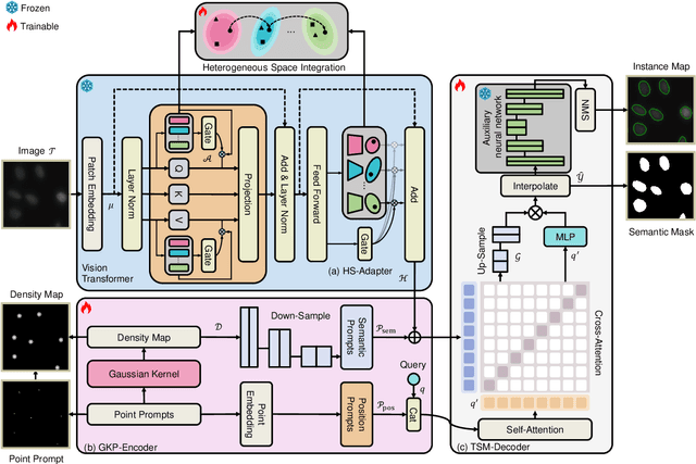 Figure 1 for NuSegDG: Integration of Heterogeneous Space and Gaussian Kernel for Domain-Generalized Nuclei Segmentation