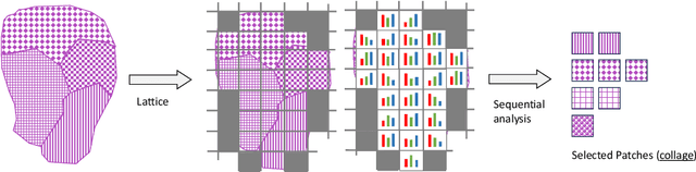 Figure 1 for SPLICE -- Streamlining Digital Pathology Image Processing