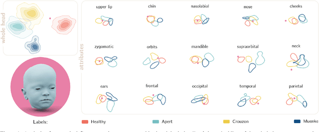 Figure 2 for Latent Disentanglement in Mesh Variational Autoencoders Improves the Diagnosis of Craniofacial Syndromes and Aids Surgical Planning