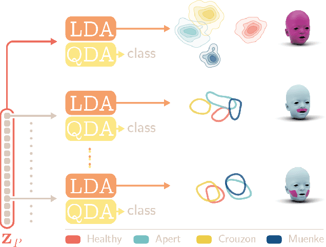 Figure 3 for Latent Disentanglement in Mesh Variational Autoencoders Improves the Diagnosis of Craniofacial Syndromes and Aids Surgical Planning