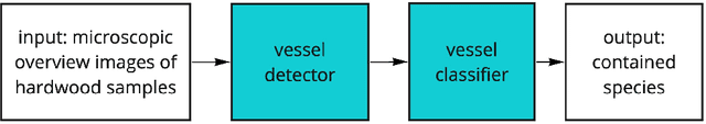 Figure 3 for Automating Wood Species Detection and Classification in Microscopic Images of Fibrous Materials with Deep Learning