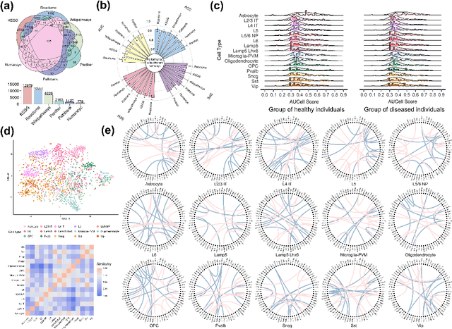 Figure 4 for scBIT: Integrating Single-cell Transcriptomic Data into fMRI-based Prediction for Alzheimer's Disease Diagnosis
