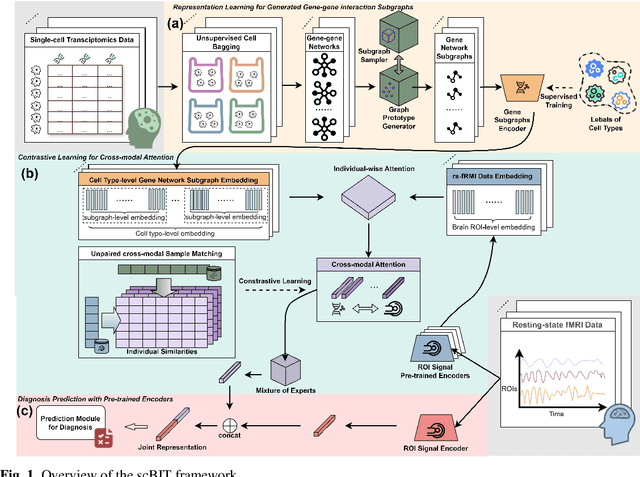Figure 1 for scBIT: Integrating Single-cell Transcriptomic Data into fMRI-based Prediction for Alzheimer's Disease Diagnosis