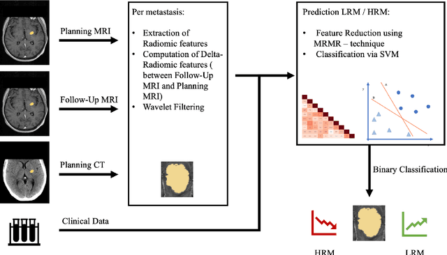 Figure 3 for Risk Classification of Brain Metastases via Radiomics, Delta-Radiomics and Machine Learning