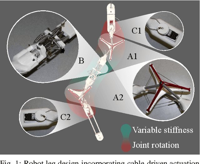 Figure 1 for Tensegrity-based Robot Leg Design with Variable Stiffness