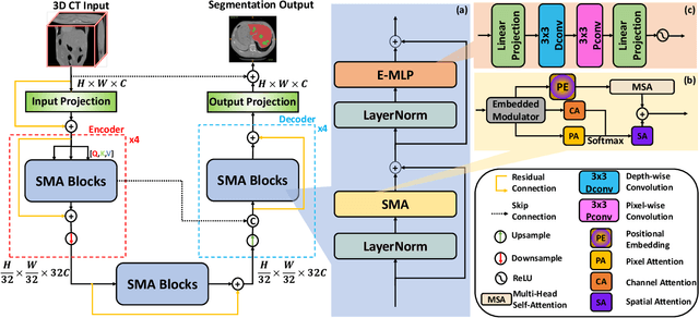 Figure 1 for SMAFormer: Synergistic Multi-Attention Transformer for Medical Image Segmentation