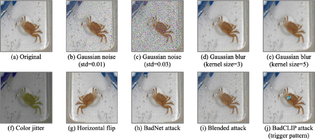 Figure 3 for Defending Multimodal Backdoored Models by Repulsive Visual Prompt Tuning