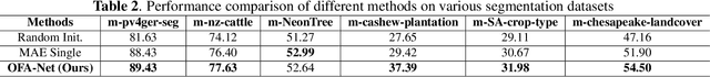 Figure 4 for One for All: Toward Unified Foundation Models for Earth Vision