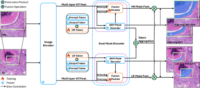 Figure 3 for WSI-SAM: Multi-resolution Segment Anything Model (SAM) for histopathology whole-slide images