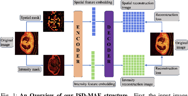 Figure 1 for Intensity-Spatial Dual Masked Autoencoder for Multi-Scale Feature Learning in Chest CT Segmentation