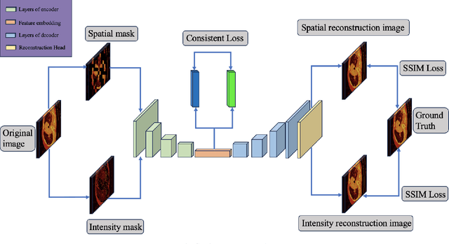 Figure 3 for Intensity-Spatial Dual Masked Autoencoder for Multi-Scale Feature Learning in Chest CT Segmentation