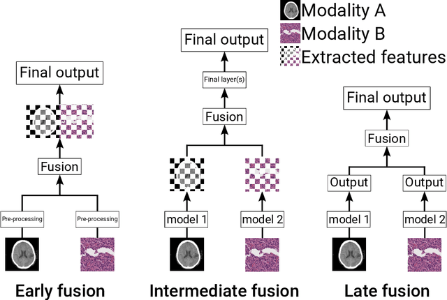 Figure 4 for Navigating the landscape of multimodal AI in medicine: a scoping review on technical challenges and clinical applications