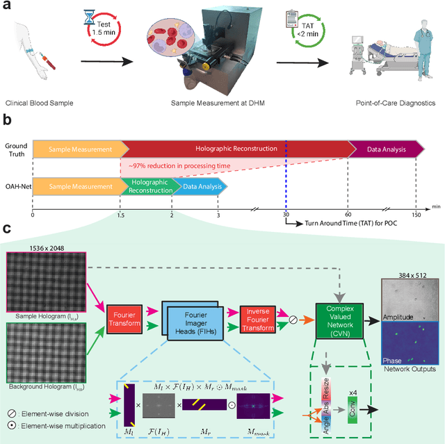 Figure 2 for OAH-Net: A Deep Neural Network for Hologram Reconstruction of Off-axis Digital Holographic Microscope