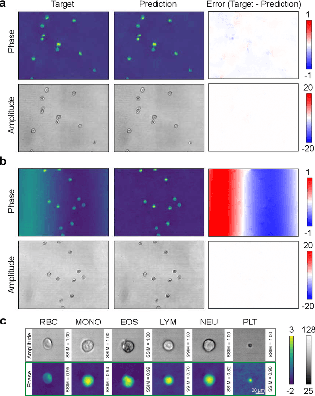 Figure 4 for OAH-Net: A Deep Neural Network for Hologram Reconstruction of Off-axis Digital Holographic Microscope