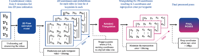 Figure 1 for Predictive Modeling of Equine Activity Budgets Using a 3D Skeleton Reconstructed from Surveillance Recordings