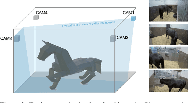 Figure 3 for Predictive Modeling of Equine Activity Budgets Using a 3D Skeleton Reconstructed from Surveillance Recordings