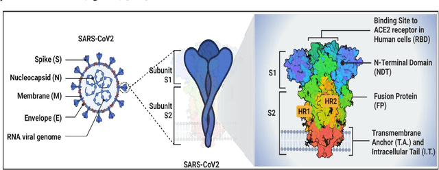 Figure 1 for COVID-19: post infection implications in different age groups, mechanism, diagnosis, effective prevention, treatment, and recommendations