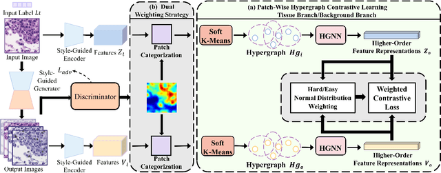 Figure 2 for Patch-Wise Hypergraph Contrastive Learning with Dual Normal Distribution Weighting for Multi-Domain Stain Transfer