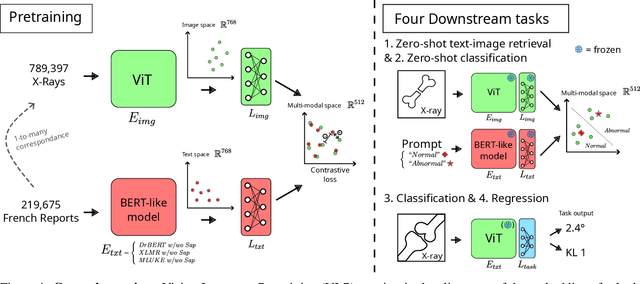 Figure 1 for Self-supervised vision-langage alignment of deep learning representations for bone X-rays analysis