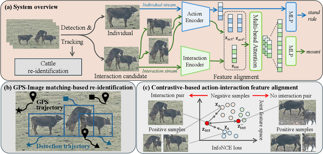 Figure 3 for Interaction-via-Actions: Cattle Interaction Detection with Joint Learning of Action-Interaction Latent Space