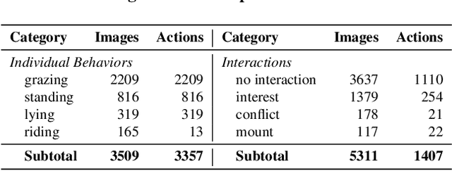 Figure 2 for Interaction-via-Actions: Cattle Interaction Detection with Joint Learning of Action-Interaction Latent Space