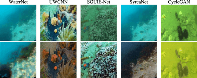 Figure 1 for RAUNE-Net: A Residual and Attention-Driven Underwater Image Enhancement Method