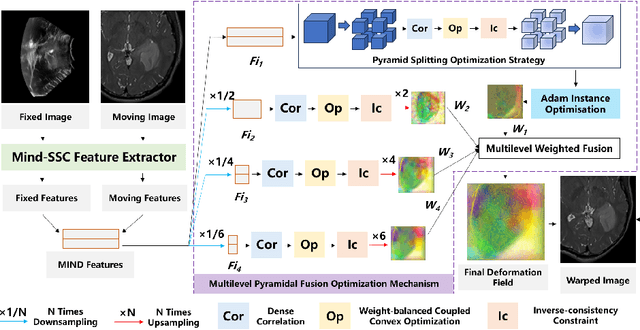 Figure 1 for Unsupervised Multimodal 3D Medical Image Registration with Multilevel Correlation Balanced Optimization