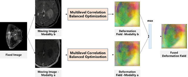 Figure 3 for Unsupervised Multimodal 3D Medical Image Registration with Multilevel Correlation Balanced Optimization