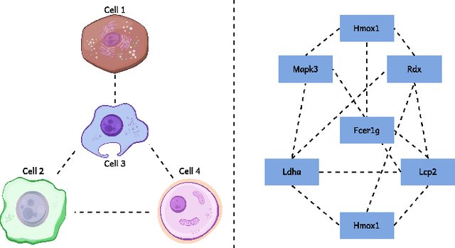 Figure 1 for Single-Cell Clustering via Dual-Graph Alignment