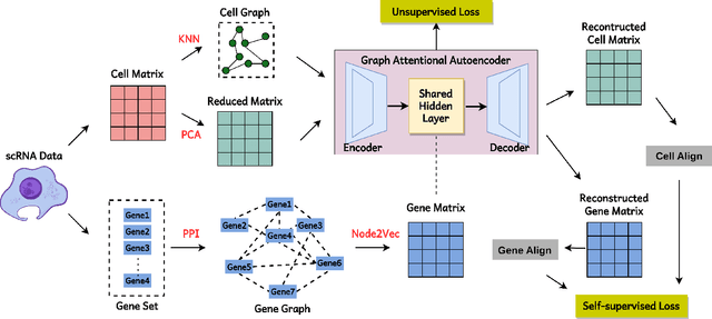 Figure 2 for Single-Cell Clustering via Dual-Graph Alignment