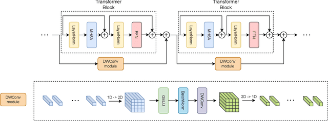 Figure 1 for Depth-Wise Convolutions in Vision Transformers for Efficient Training on Small Datasets