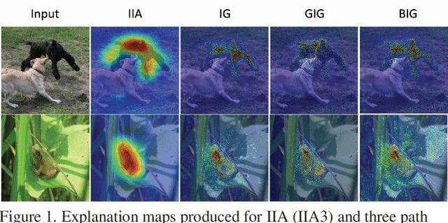 Figure 1 for Visual Explanations via Iterated Integrated Attributions