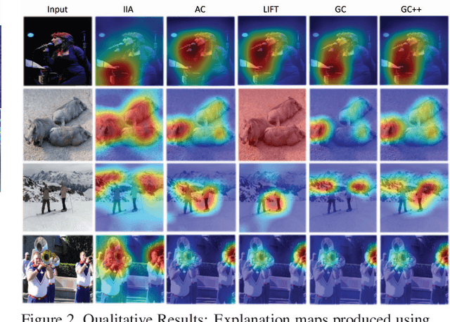 Figure 3 for Visual Explanations via Iterated Integrated Attributions