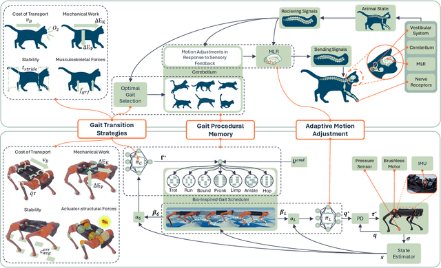 Figure 1 for Learning to Adapt: Bio-Inspired Gait Strategies for Versatile Quadruped Locomotion