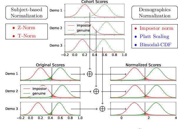 Figure 1 for Score Normalization for Demographic Fairness in Face Recognition