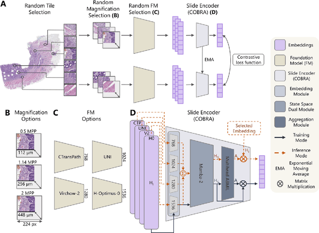 Figure 1 for Unsupervised Foundation Model-Agnostic Slide-Level Representation Learning