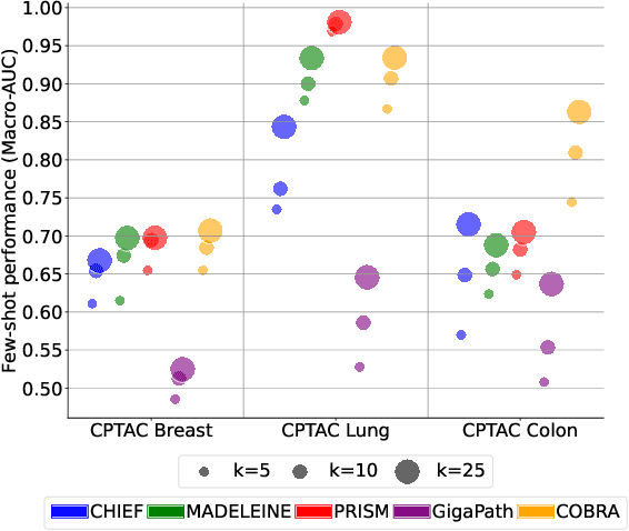 Figure 4 for Unsupervised Foundation Model-Agnostic Slide-Level Representation Learning