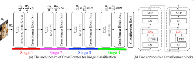 Figure 1 for CrossFormer++: A Versatile Vision Transformer Hinging on Cross-scale Attention