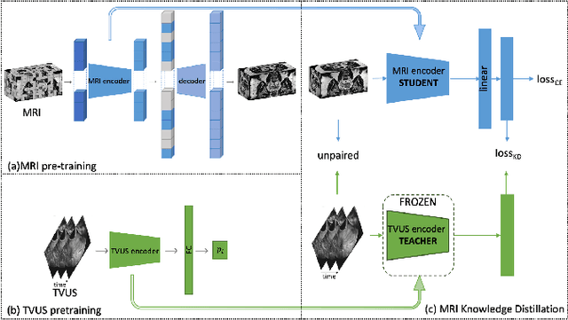 Figure 3 for Distilling Missing Modality Knowledge from Ultrasound for Endometriosis Diagnosis with Magnetic Resonance Images