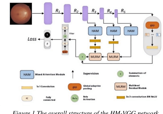 Figure 1 for Deep Learning with HM-VGG: AI Strategies for Multi-modal Image Analysis