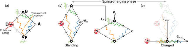 Figure 3 for Elastic energy storage of spring-driven jumping robots