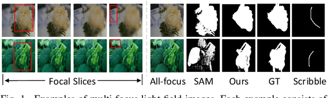 Figure 1 for LFSamba: Marry SAM with Mamba for Light Field Salient Object Detection