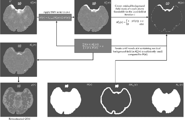 Figure 1 for Maximum Spherical Mean Value (mSMV) Filtering for Whole Brain Quantitative Susceptibility Mapping