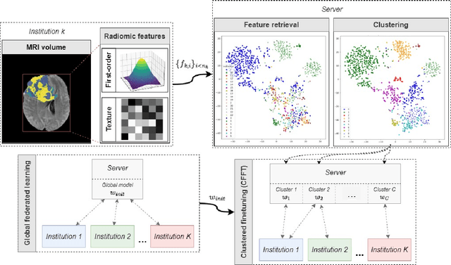 Figure 1 for Whole-brain radiomics for clustered federated personalization in brain tumor segmentation